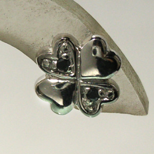 fj-p024